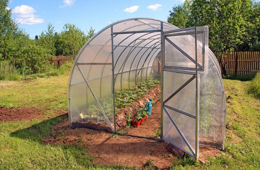 Вибір місця під теплицю Вибір місця під теплицю