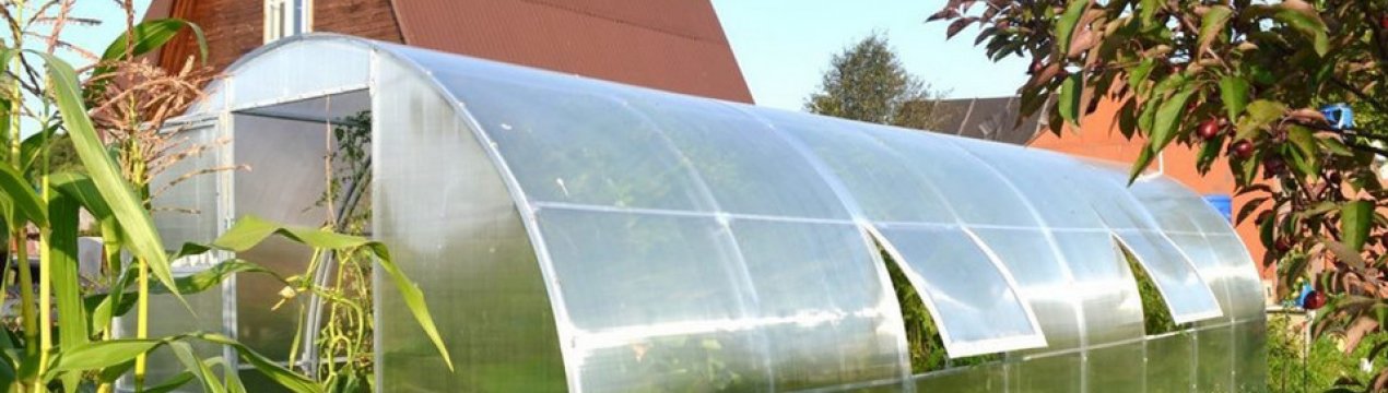Особливості білоруських теплиць з полікарбонату