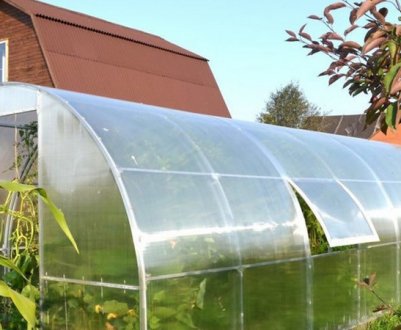 Особливості білоруських теплиць з полікарбонату
