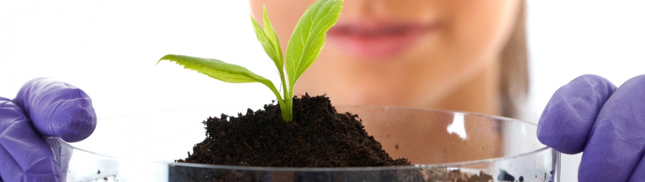 Центр аграрних досліджень відкрився в Сумській області