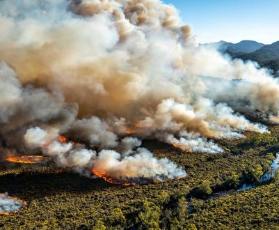 На забайкальських просторах згоріли живцем тисячі домашніх тварин