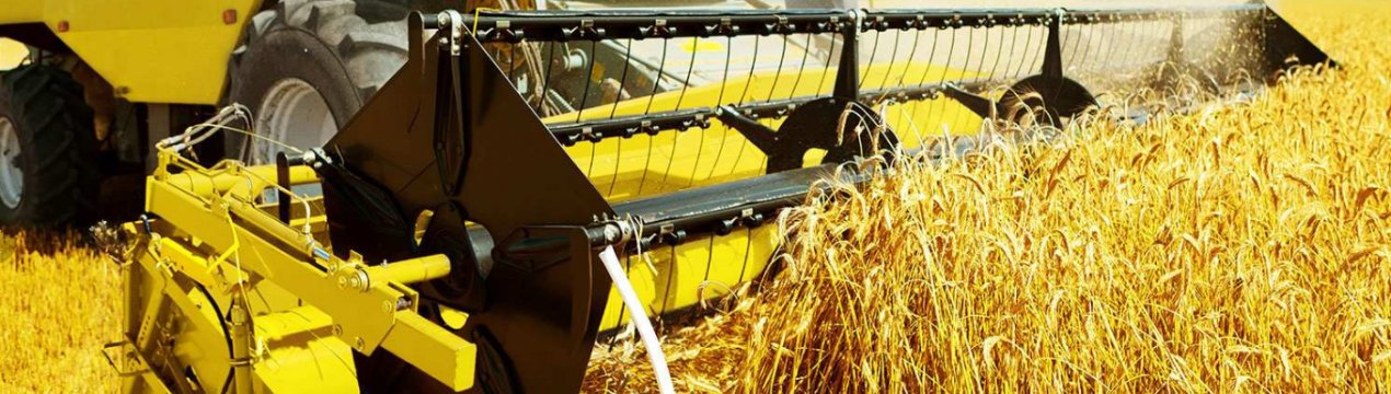 Пік нестачі кадрів в агросекторі України спостерігається навесні