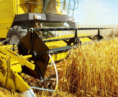 Пік нестачі кадрів в агросекторі України спостерігається навесні