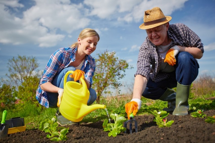 Для російських фермерів готують вигідні умови іпотеки Для російських фермерів готують вигідні умови іпотеки
