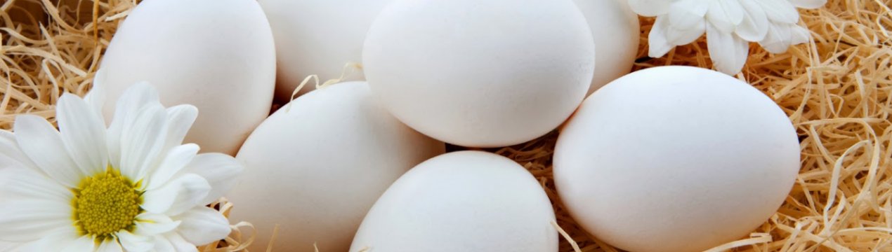 Україна буде експортувати столове яйце в Боснію і Герцеговину