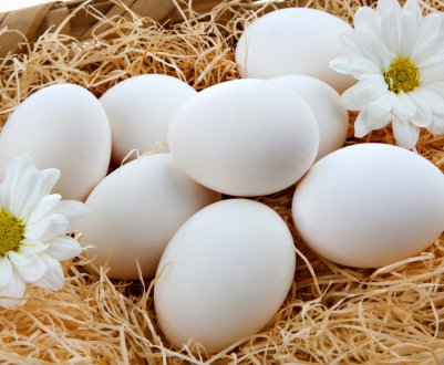 Україна буде експортувати столове яйце в Боснію і Герцеговину