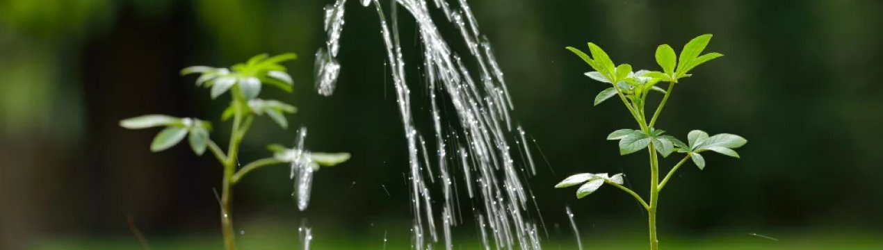 Китай закликає місцеві влади виділяти більше коштів на очищення грунту