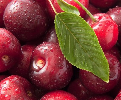 Урожай вишні в Херсонській області під загрозою