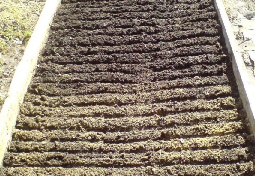 Борозенки для посіву сидератів Борозенки для посіву сидератів