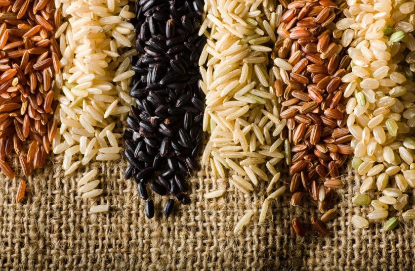 В Нигерии планируется выпуск новых ГМО-продуктов В Нигерии планируется выпуск новых ГМО-продуктов