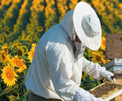 Особливості костюма бджоляра