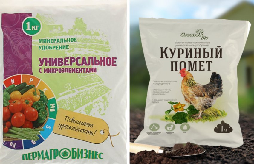 что такое табак ориентал. Смотреть фото что такое табак ориентал. Смотреть картинку что такое табак ориентал. Картинка про что такое табак ориентал. Фото что такое табак ориентал