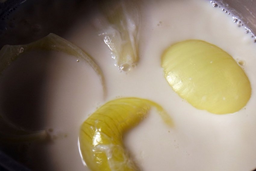 Зберігання напою з молока і цибулі Зберігання напою з молока і цибулі