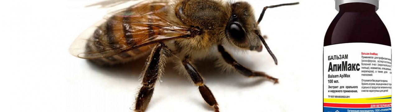 Особливості «Апимакса» для бджіл