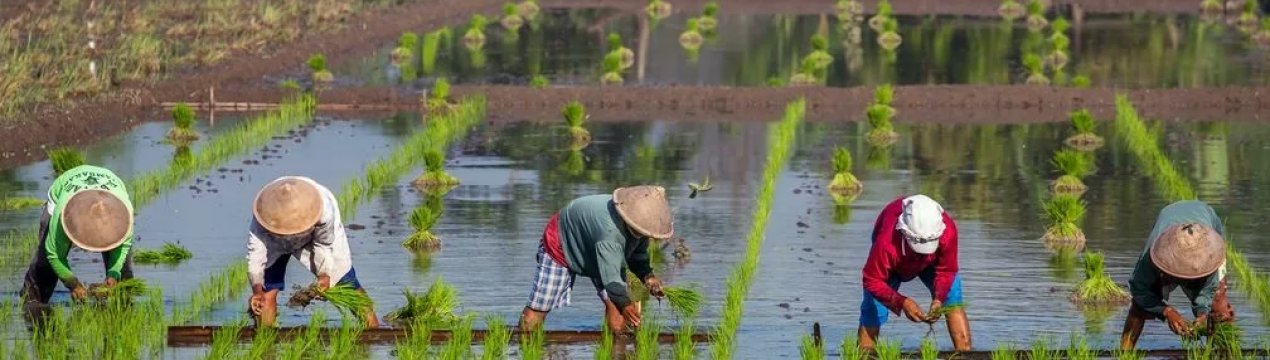 У Британії закликають до введення нового податку на вартість землі