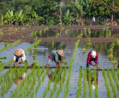 У Британії закликають до введення нового податку на вартість землі