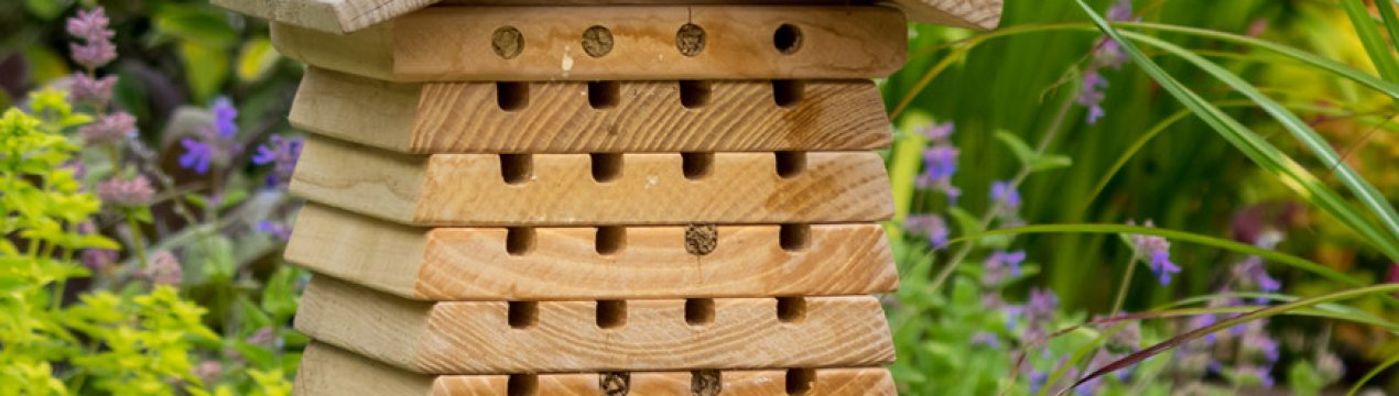 Як зробити бджолиний будиночок?