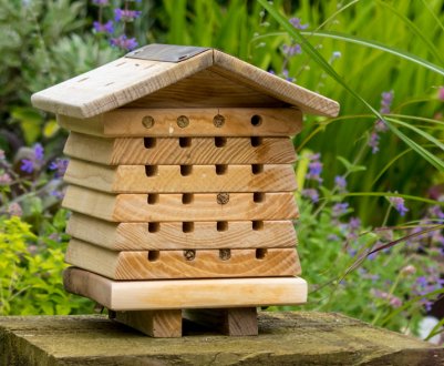 Як зробити бджолиний будиночок?