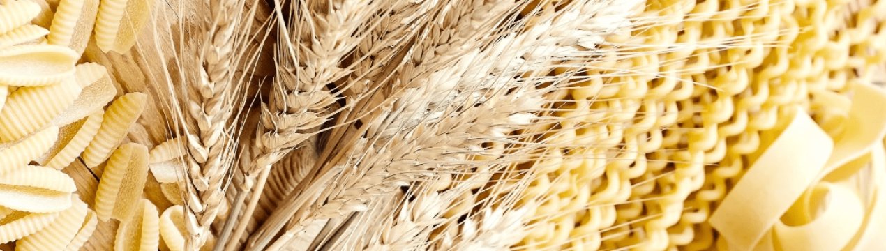 Дослідники ідентифікують новий алерген, відповідальна за алергію на тверду пшеницю