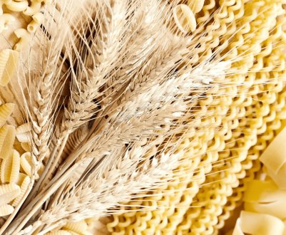 Дослідники ідентифікують новий алерген, відповідальна за алергію на тверду пшеницю
