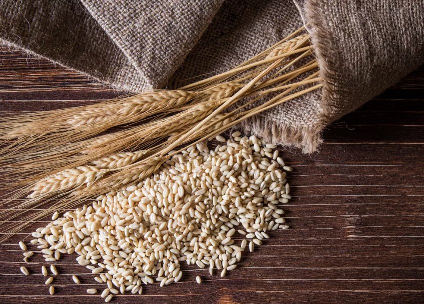 Дослідники ідентифікують новий алерген, відповідальна за алергію на тверду пшеницю Дослідники ідентифікують новий алерген, відповідальна за алергію на тверду пшеницю