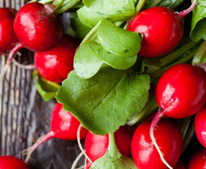 Вітамінний склад і корисні властивості редиски