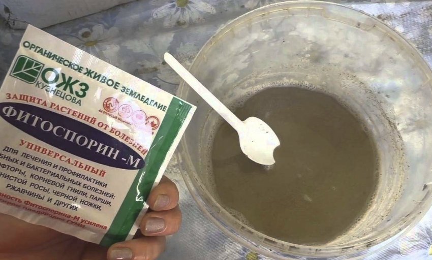 Розчин Фітоспорину