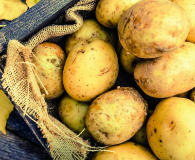В Києві молоду картоплю продають по 70 грн/кг