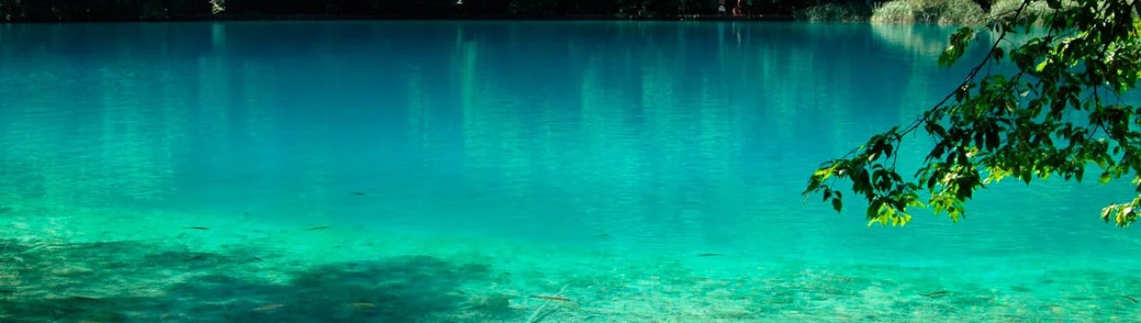 В річках Європи достаток пестицидів