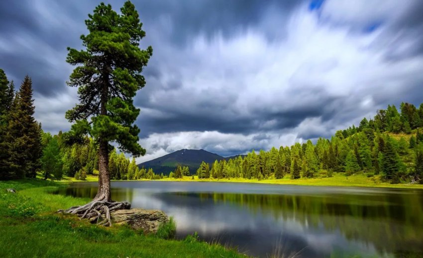 В річках Європи достаток пестицидів В річках Європи достаток пестицидів