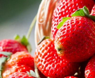 Особливості посадки полуниці насінням