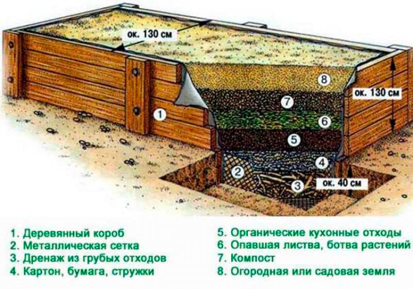 Чем можно огородить клубнику. 68718.pqeuvo.850. Чем можно огородить клубнику фото. Чем можно огородить клубнику-68718.pqeuvo.850. картинка Чем можно огородить клубнику. картинка 68718.pqeuvo.850. Правильно организованный земельный участок для культивирования ягодной культуры может стать залогом богатого урожая, хорошей защитой от сорняков, заболеваний и насекомых-вредителей. Клубнику считают довольно привередливым растением, требующим особенных условий для произрастания. Грамотно сооруженные и расставленные грядки помогут вырастить урожайные плантации на своей даче. Современные технологии и широкое разнообразие материалов для изготовления подобных сооружений сделают процесс выращивания культуры гораздо проще.