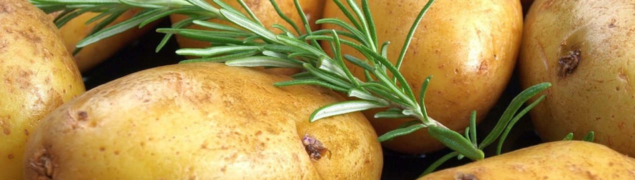 У Запорізькій області замерзли сходи картоплі