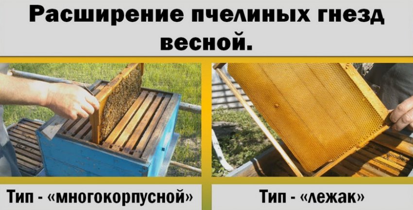 Розширення бджолиних гнізд