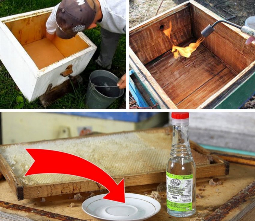 Дезінфекція бджолиного будинку