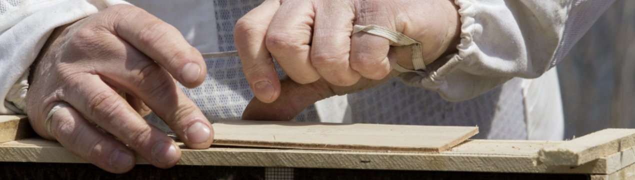 Рійниця для бджіл своїми руками