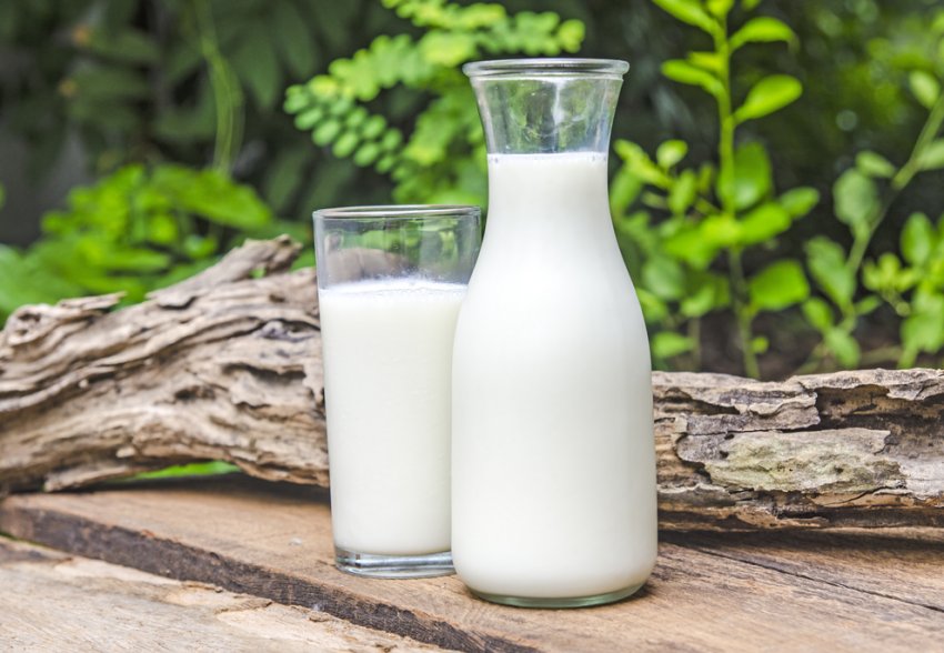 Острів з півмільйонним населенням шукає постачальника молока