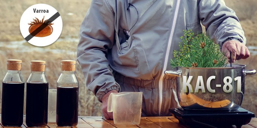 Препарат «КАС-81»