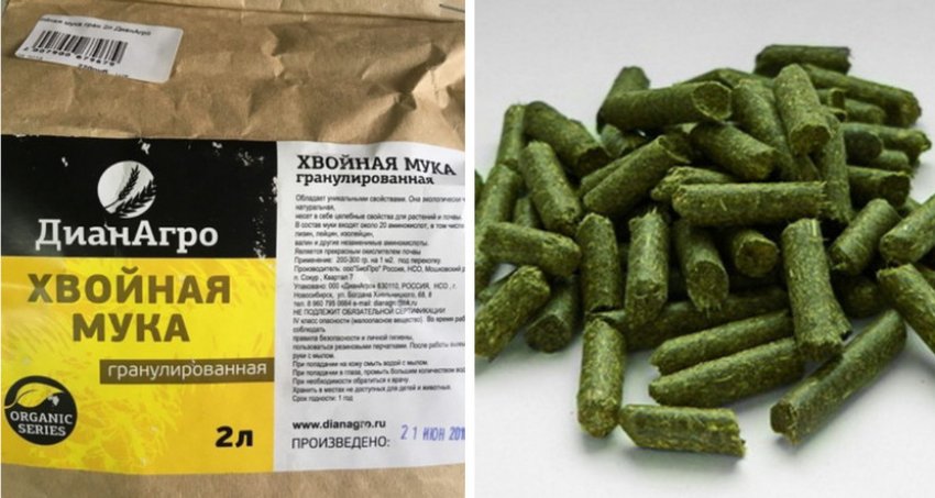 Хвойна мука