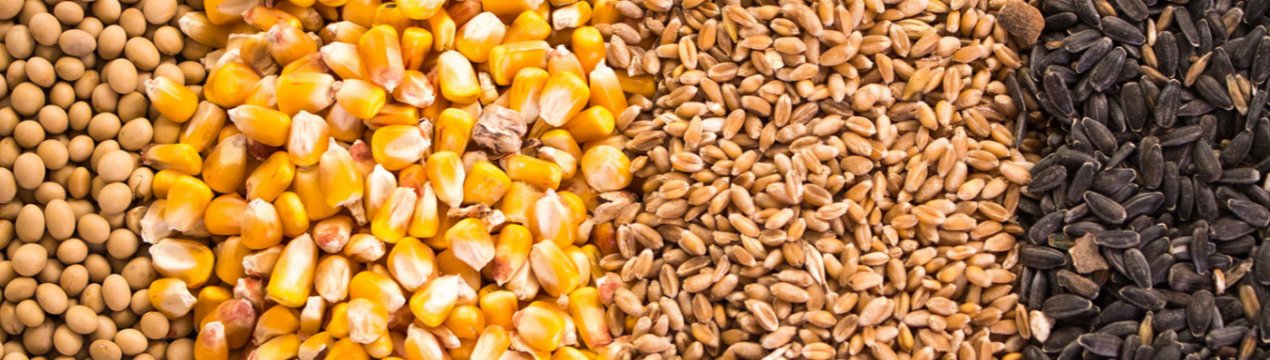 Напередодні посівної аграрії Одеської області крадуть насіння і мінеральні добрива