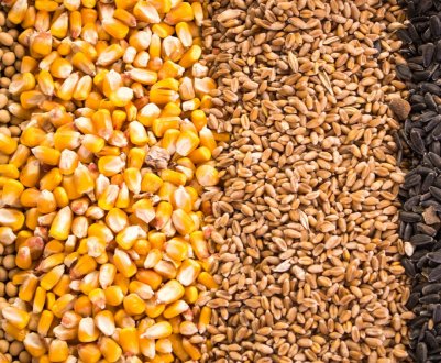 Напередодні посівної аграрії Одеської області крадуть насіння і мінеральні добрива