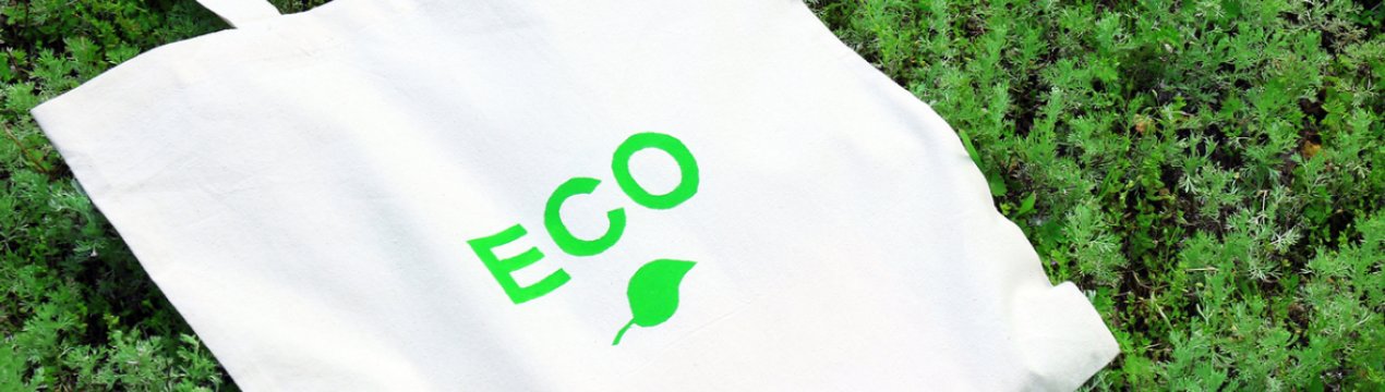 Житомир прийняв рішення відмовитися від пластикових пакетів