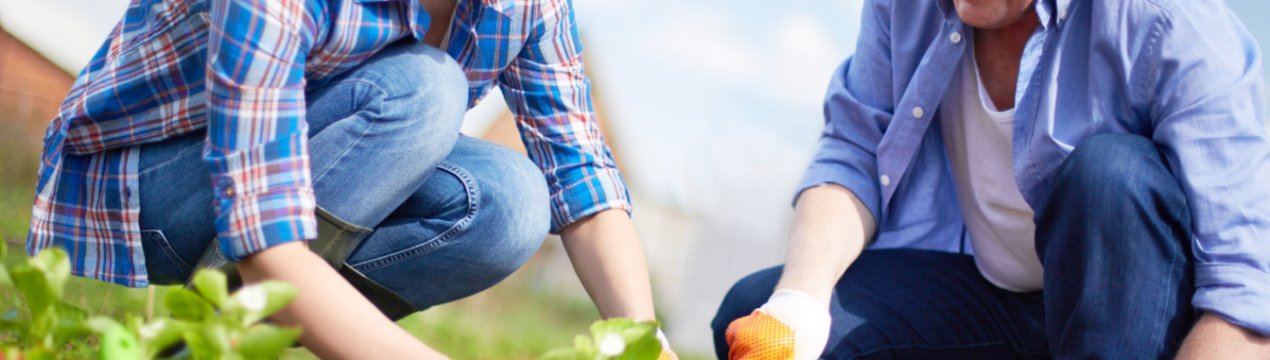 У Британії сільськогосподарські лідери стурбовані скороченням трудової міграції