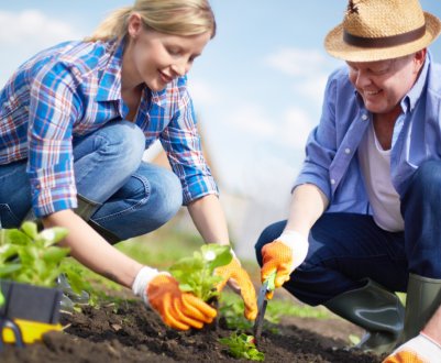 У Британії сільськогосподарські лідери стурбовані скороченням трудової міграції