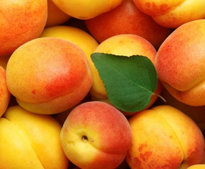Особливості вживання абрикоса при грудному вигодовуванні