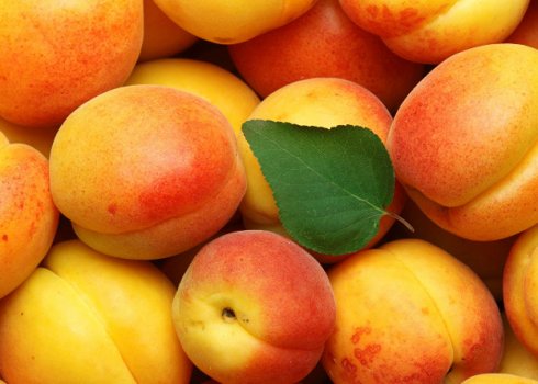 Особенности употребления абрикоса при грудном вскармливании