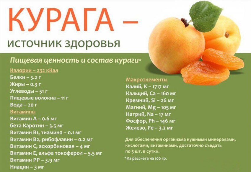 Польза сушеных абрикосов для организма thumbnail