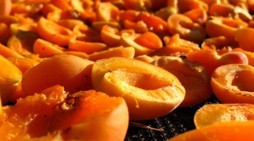 Солнечная сушка абрикоса