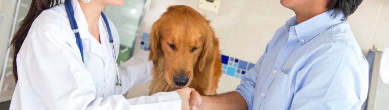 Білоцерківський національний аграрний університет співпрацюватиме з Національної ветеринарної школою Франції