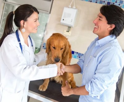 Білоцерківський національний аграрний університет співпрацюватиме з Національної ветеринарної школою Франції